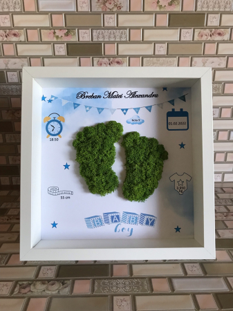 Tablou licheni cu rama 3D talpite bebelus [1]