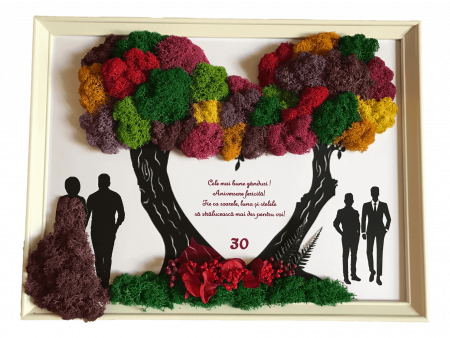 Tablou cu licheni familie - Tablou cu licheni familie