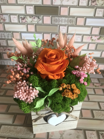Aranjament cutie licheni - Aranjament floral cu licheni