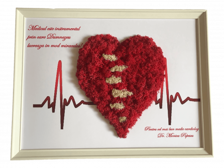 Tablou cu licheni cadru medical - Tablou cu licheni cadru medical