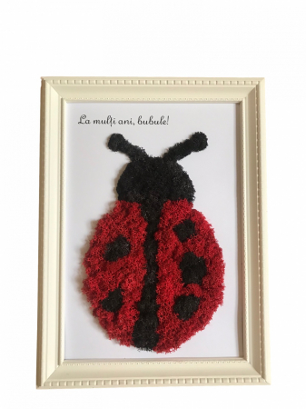 Tablouri 25/30 - Tablou buburuza