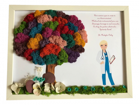 Tablou cu licheni cadru medical - Tablou cu licheni Doctora