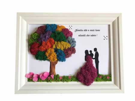 Tablou cu licheni familie - Tablou cu licheni familie