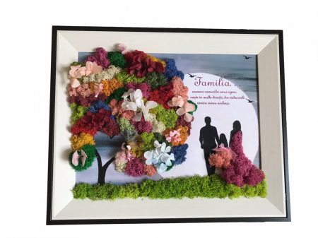 Tablou 40*30 - Tablou cu licheni familie