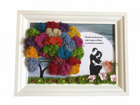 Tablou cu licheni familie - Tablou cu licheni Gravida