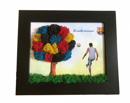 Tablouri 25/30 - Tablou cu minge fotbal