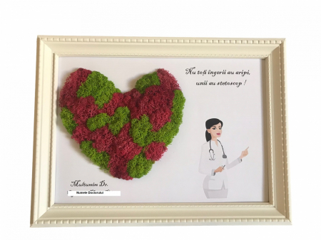 Tablou cu licheni cadru medical - Tablou Doctor