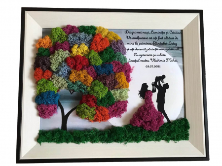 Tablouri cu licheni pentru Nasi si Fini - Tablou cu licheni nasi