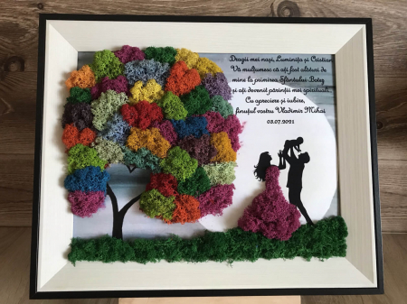 Tablou cu licheni nasi [1]