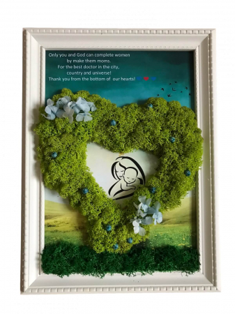 Tablou cu licheni cadru medical - Tablou medic personalizat cu licheni