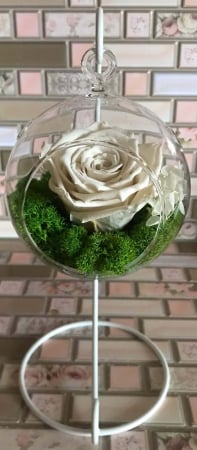 Aranjamente in vase ceramice - Trandafir criogenat in glob sticla cu suport