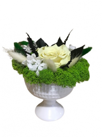 Aranjamente in vase ceramice - Vas cu picior de portelan fin cu licheni stabilizati si trandafir criogenat.