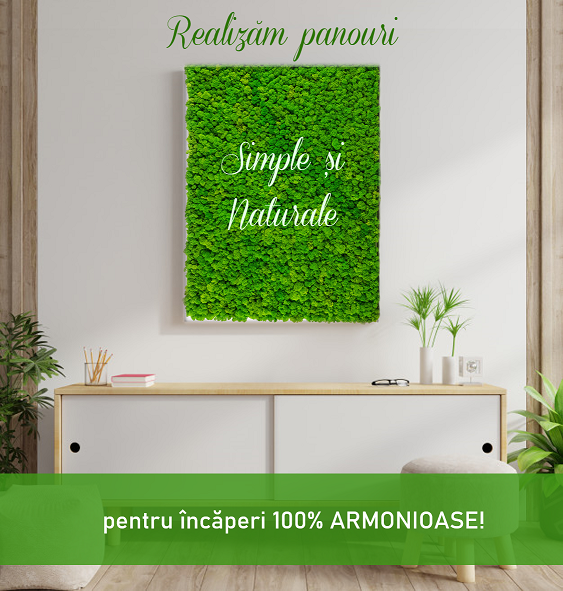 PANOU CU LICHENI NATURALI