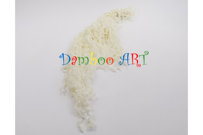 AMARANTHUS NATURAL STABILIZAT, ALB IVOIRE [2]