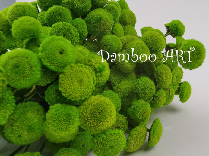 BOTAO NATURAL STABILIZAT VERDE DESCHIS [2]