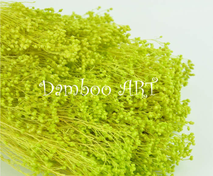 Broom Broom Criogenat Premium Verde primavara [1]