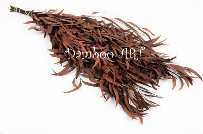 Eucalipt Nicoly Rosu GRENA [3]