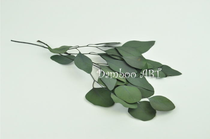 EUCALIPT POPULUS STABILIZAT, VERDE [2]