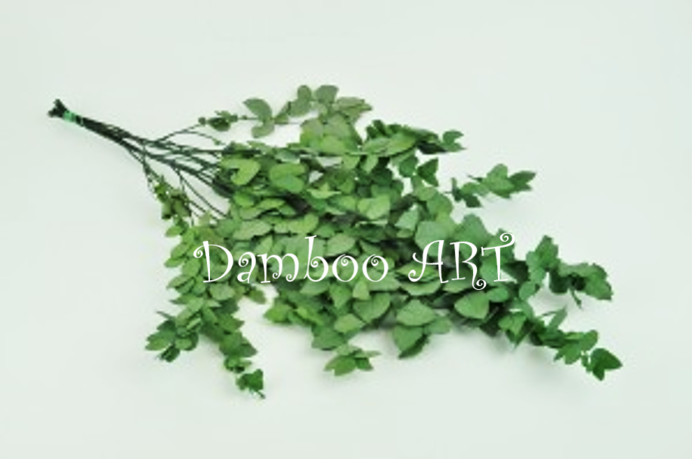 EUCALIPT STUARTIANA STABILIZAT, VERDE [3]