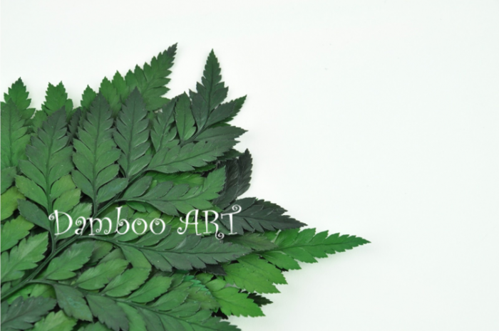 Feriga Cuir, Naturala Stabilizata Verde [3]