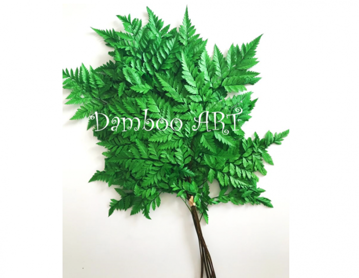 FERIGA STABILIZATA - NATURAL GREEN - 9 fire [2]