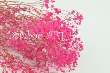 Gypsophilla Criogenata Fucsia - EXTRA [1]