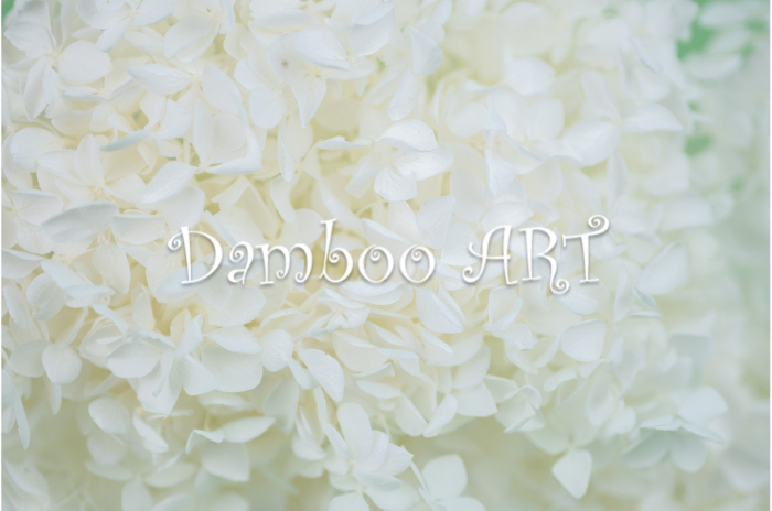 HORTENSIE CRIOGENATA CU FLORI MICI ALBA [2]