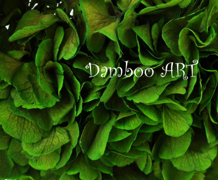 Hortensie stabilizata verde [2]