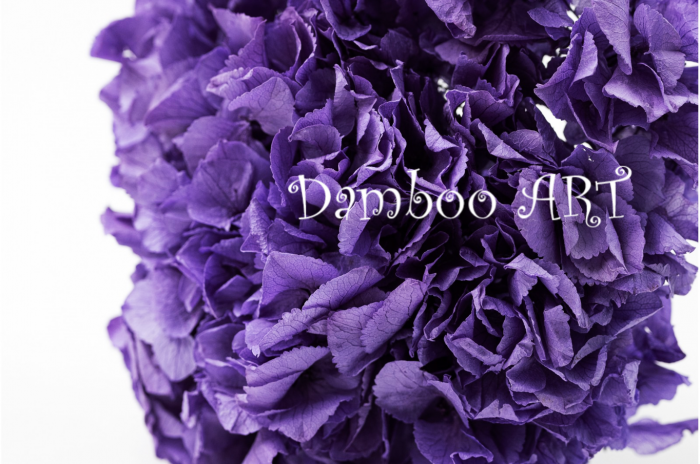 HORTENSIE NATURALA STABILIZATA, MOV LILIAC [1]