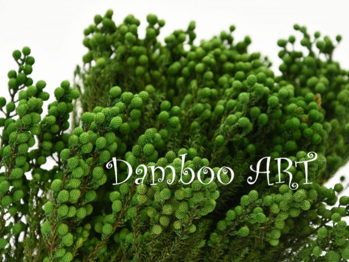 LANUGINOSA NATURALA STABILIZATA VERDE [1]