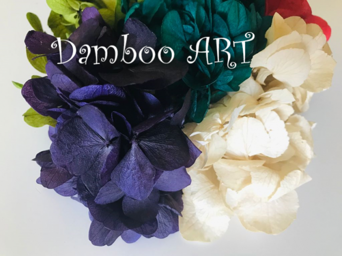 MIX 5 HORTENSII NATURAL STABILIZATE, ALB/CREM, ROSU, VERDE, TURCOISE, MOV [3]