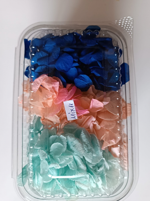 MIX HORTENSII - 40gr [11]