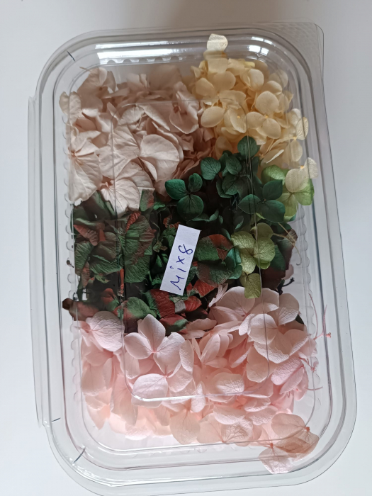 MIX HORTENSII - 40gr [8]