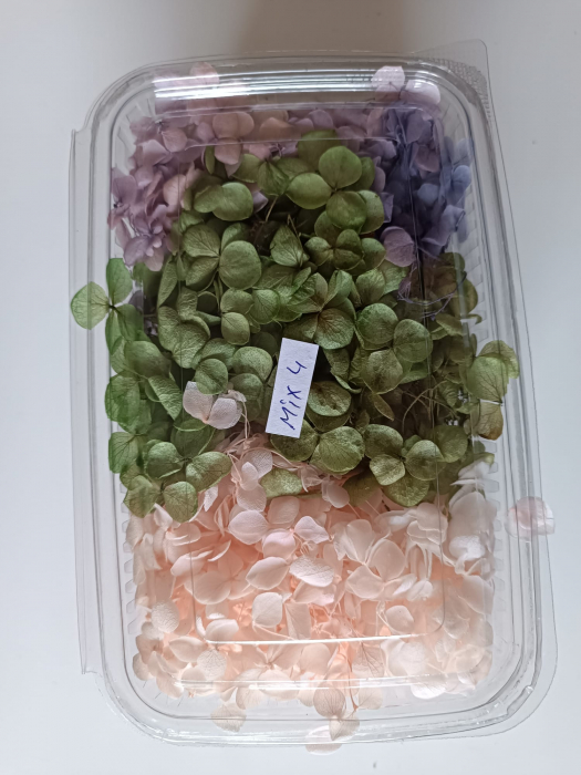 MIX HORTENSII - 40gr [4]