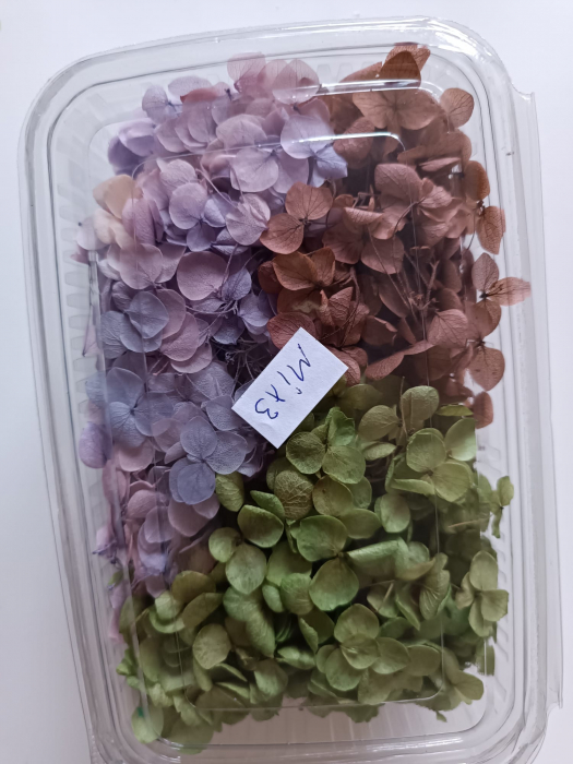 MIX HORTENSII - 40gr [3]
