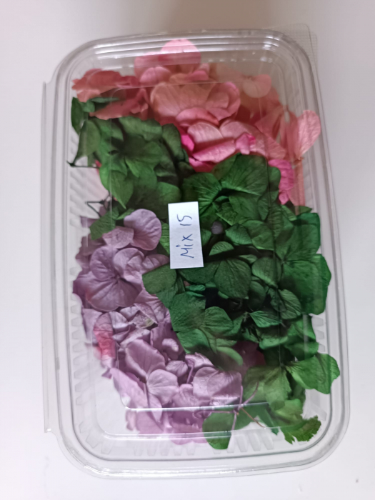 MIX HORTENSII - 40gr [15]
