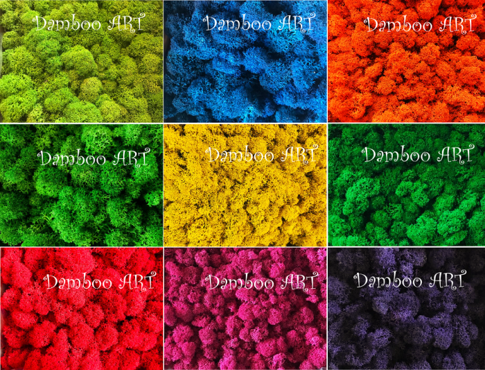 MIX LICHENI PREMIUM PARTIAL CURATATI, 2-4 culori la alegere [1]