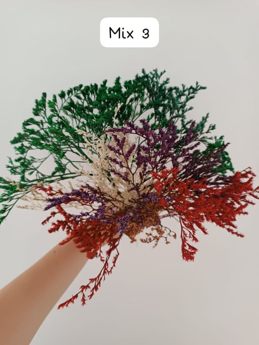 MIX TATARICA NATURAL USCATA - 50 gr [3]