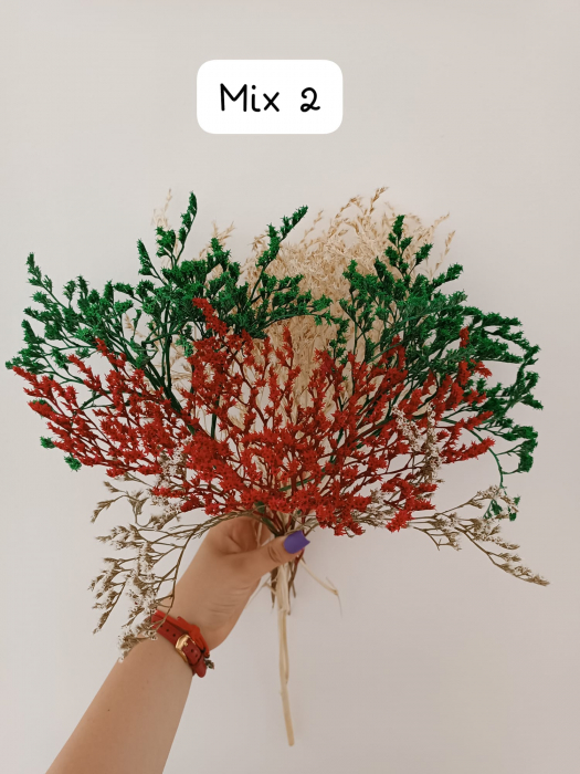 MIX TATARICA NATURAL USCATA - 50 gr [2]