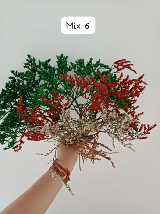 MIX TATARICA NATURAL USCATA - 50 gr [6]