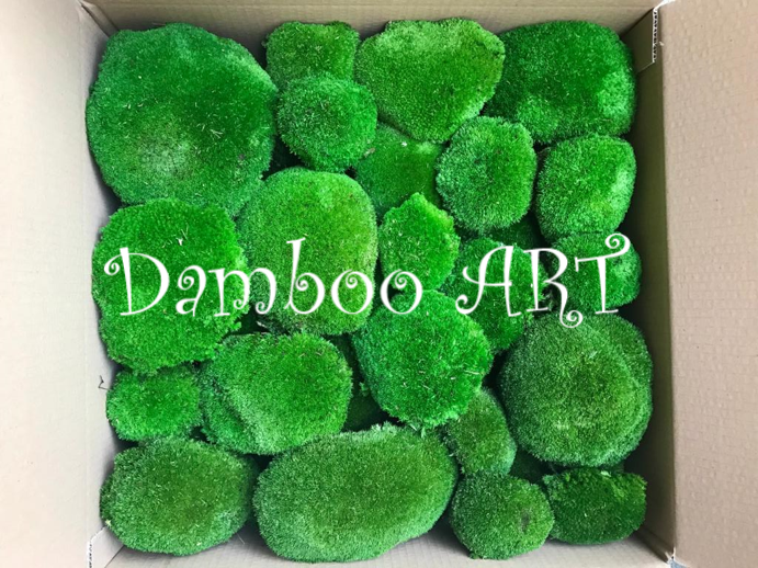 MUSCHI BOMBAT PREMIUM, VERDE NEON [2]