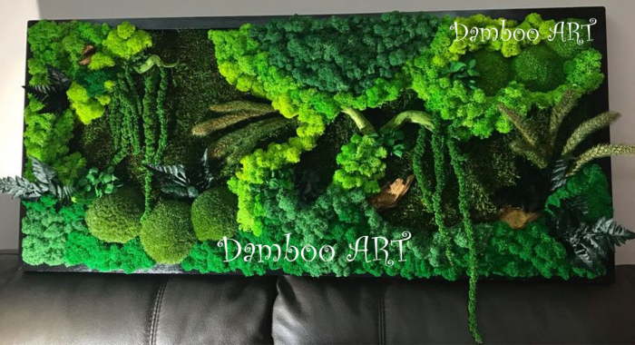 PANOU CU MUSCHI, LICHENI SI PLANTE [3]