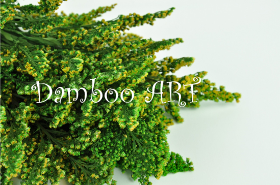 SOLIDAGO NATURAL STABILIZAT, VERDE [1]