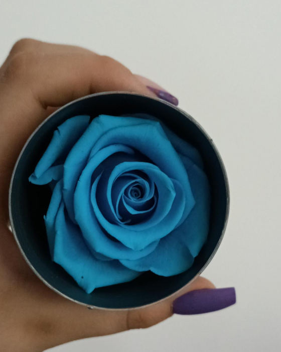 TRANDAFIR CRIOGENAT MARE BRIGHT BLEU [1]