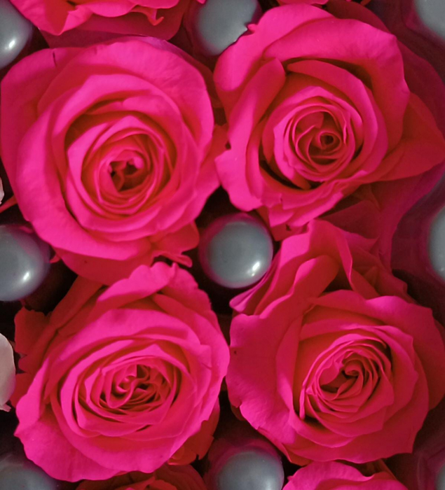TRANDAFIR CRIOGENAT MINIROZA BRIGHT PINK [1]