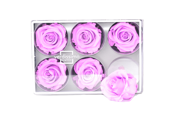 TRANDAFIR CRIOGENAT ROSA STANDARD - 5-5.5 CM - BRIGHT LILIAC [4]