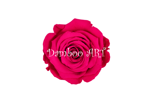 TRANDAFIR MARE CRIOGENAT ROZ CRIMSON [1]