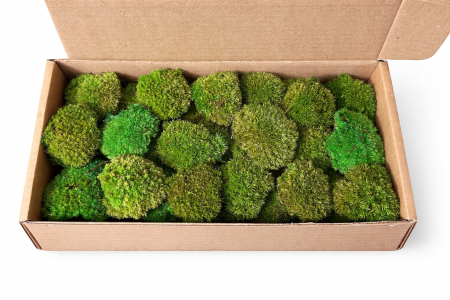 MUSCHI NATURALI STABILIZATI - BALL MOSS MINI - MUSCHI BOMBATI MINI