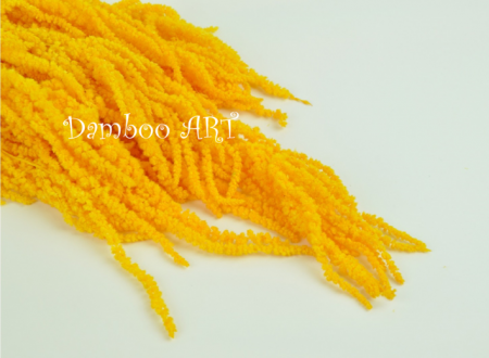 AMARANTHUS NATURAL STABILIZAT, GALBEN [1]