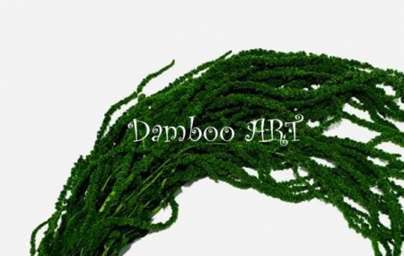 %LICHIDARE STOC% - AMARANTHUS NATURAL STABILIZAT, VERDE INTENS